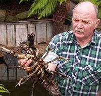 Lobster Ponds - Find Attractions