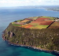 Table Cape - Find Attractions