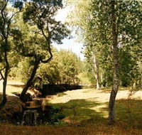 Oldina Picnic Area - Find Attractions