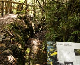 Philosopher Falls - Find Attractions 1