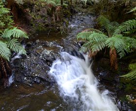Philosopher Falls - Find Attractions 4