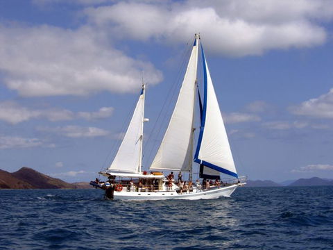 Adventure, Cruise, Dive And Outer Reef - Whitsundays Sailing Adventures - Find Attractions 8