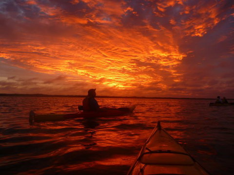 Canoe The Coorong - Find Attractions 5