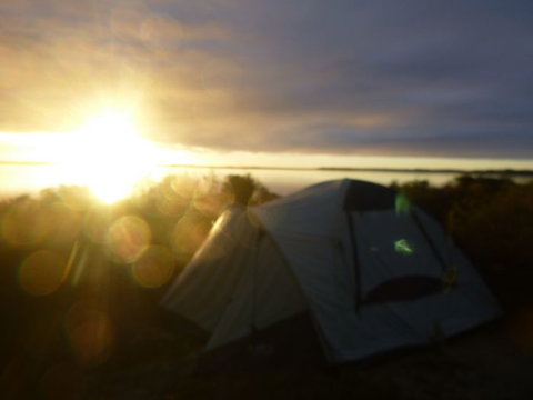 Canoe The Coorong - Find Attractions 16