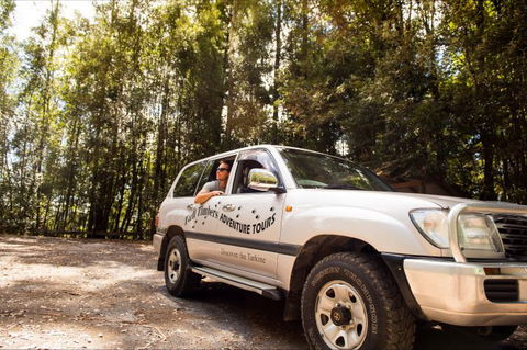 Tall Timbers Adventure Tours - Find Attractions 10