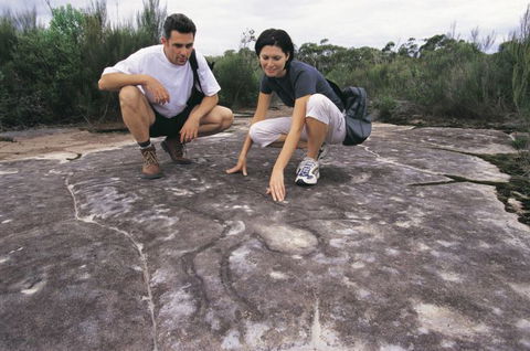 Sydney Coast Walks - Find Attractions 4