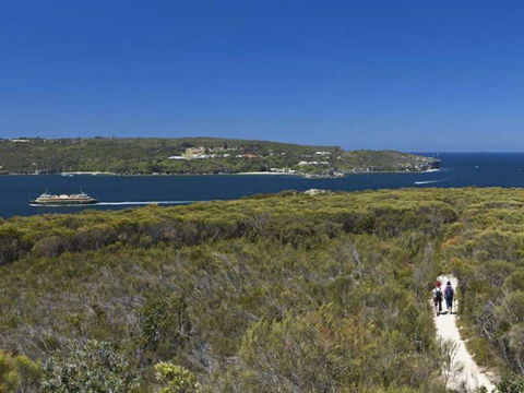Sydney Coast Walks - Find Attractions 7