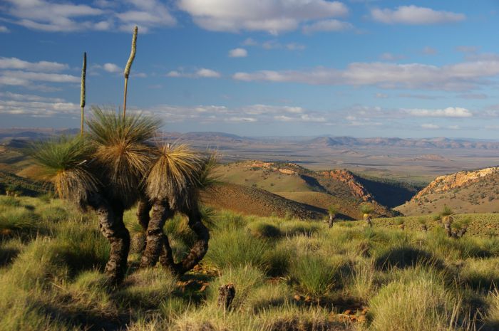 4WD Aussie Outback Adventures Quorn