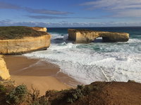 Bush To Ocean Road Tours