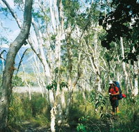 Thorsborne Trail Hinchinbrook Island National Park - Find Attractions