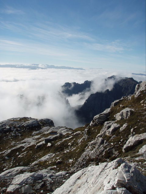 Trek Tasmania - Find Attractions 5