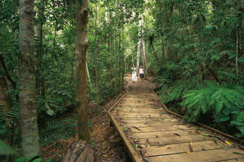 Lake Barrine Circuit Track, Crater Lakes National Park - Find Attractions 0