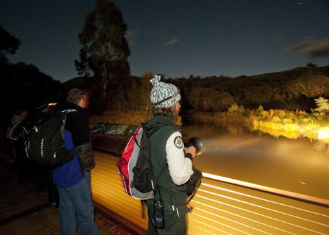 Naturewise At Tidbinbilla - Find Attractions 1