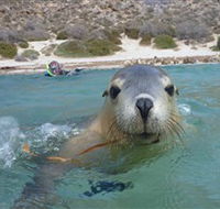 Calypso Star Charters - Find Attractions