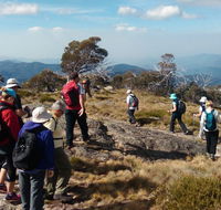 Hedonistic Hiking - Find Attractions