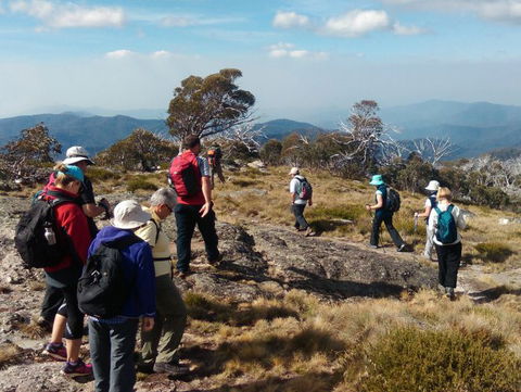 Hedonistic Hiking - Find Attractions 0