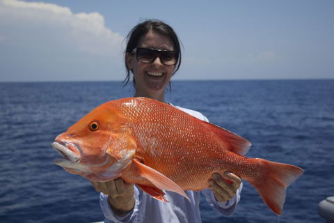 Absolute Ocean Charters - Find Attractions 3