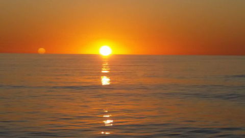 Absolute Ocean Charters - Find Attractions 14
