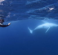 Sunreef Mooloolaba - Find Attractions