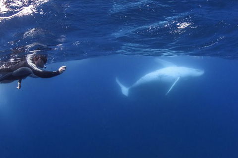 Sunreef Mooloolaba - Find Attractions 2