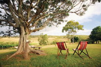 Northern Food Trail