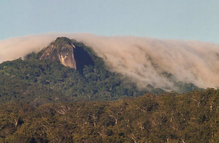 North Queensland Wildscapes Phototours Cairns