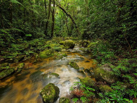 North Queensland Wildscapes Phototours - Find Attractions 2