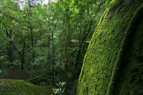North Queensland Wildscapes Phototours - Find Attractions 4
