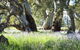 Aussie Heritage Tours - thumb 3