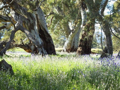 Aussie Heritage Tours - Find Attractions 4
