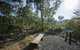 Diversity Boardwalk - thumb 2