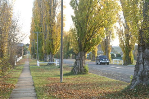 Taralga - Self Guided Heritage Walking Tours - Find Attractions 1