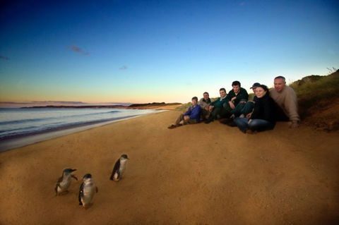 Melbourne Coastal Touring - Find Attractions 2