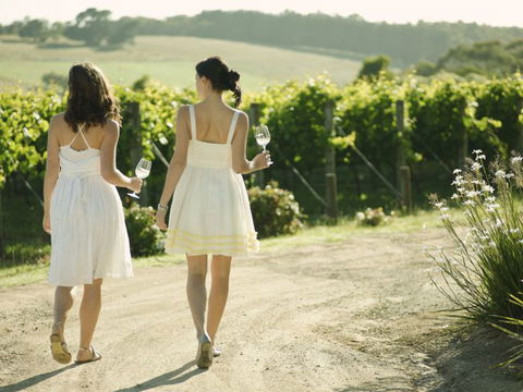 Melbourne Coastal Touring - Find Attractions 4