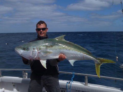 Reef Encounters Fishing Charters. - Find Attractions 12