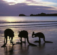 Beachcomber Cove Track - Find Attractions