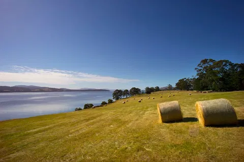 Coast House Tasmania - Find Attractions 4