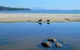 Coast House Tasmania - thumb 6
