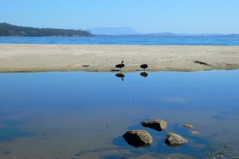Coast House Tasmania - Find Attractions 6