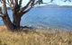 Coast House Tasmania - thumb 8