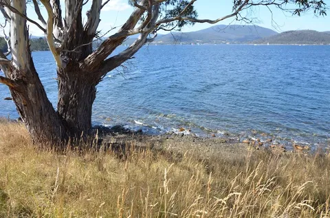 Coast House Tasmania - Find Attractions 8