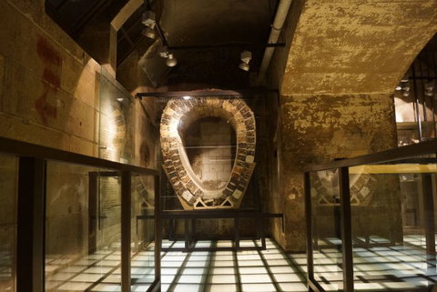 Go Local Tours - Find Attractions 10