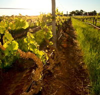 Kaesler Old Vine Vineyard Tour - Find Attractions