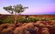 Island Stack, Boodjamulla (Lawn Hill) National Park - thumb 0