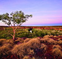 Island Stack Boodjamulla Lawn Hill National Park - Find Attractions