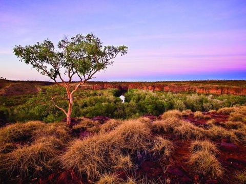 Island Stack, Boodjamulla (Lawn Hill) National Park - Find Attractions 0