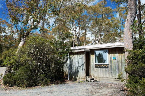 Discovery Parks - Cradle Mountain - Find Attractions 6