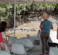 Whitsunday Crocodile Safari - Find Attractions