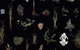 Weswal Gallery - thumb 0