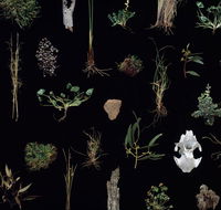 Weswal Gallery - Find Attractions